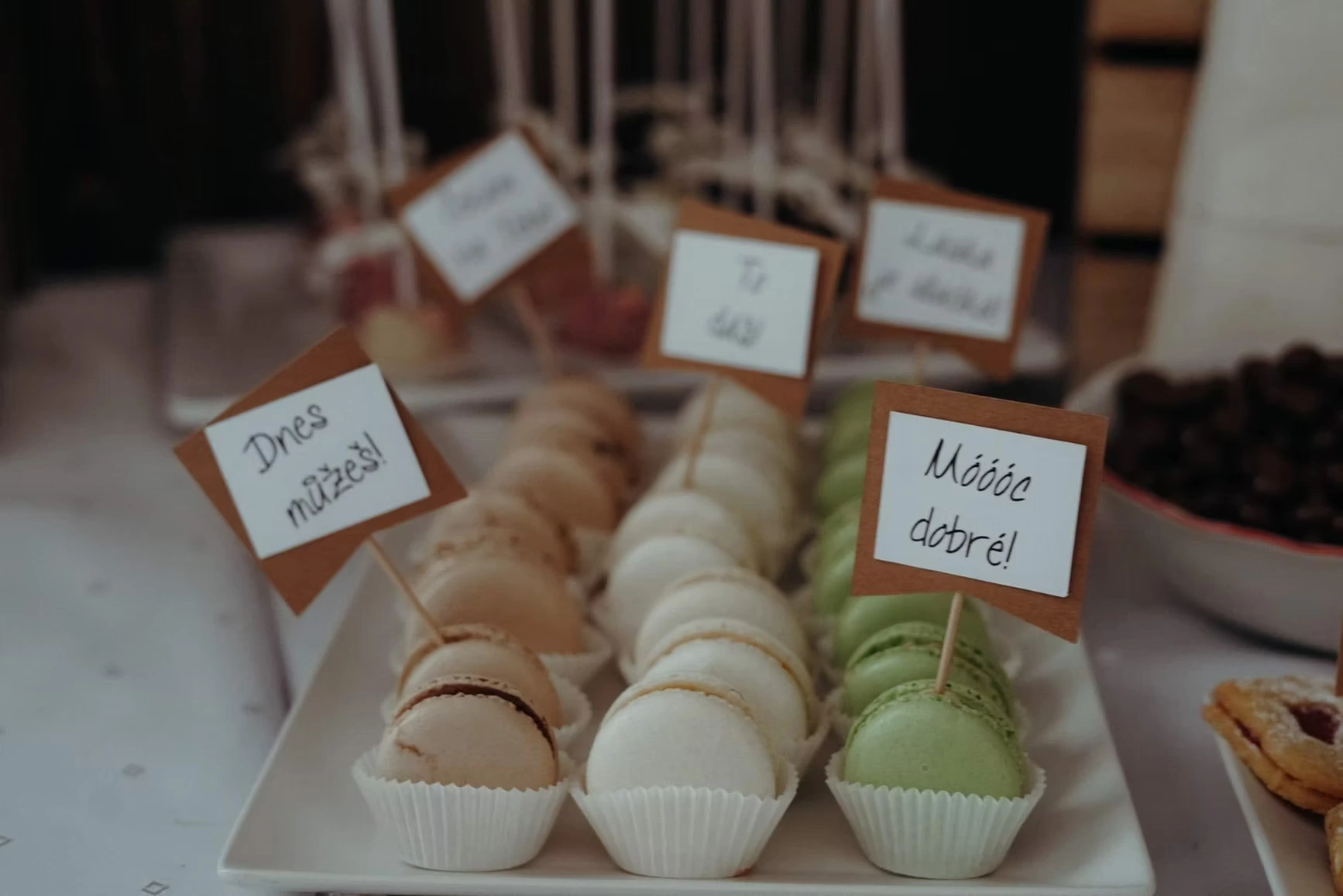 Detail korpusu a dekorace